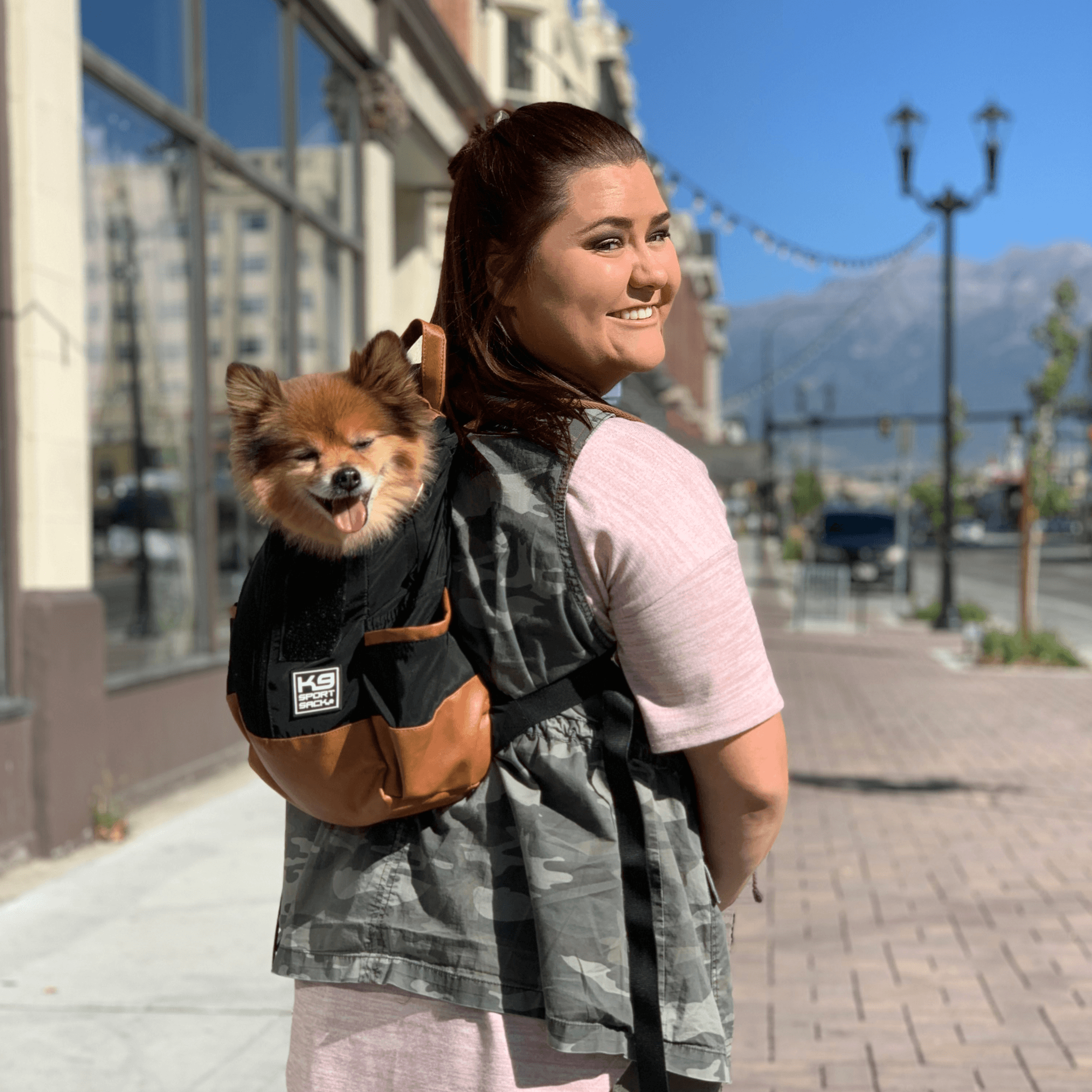 K9 sport top sack urban