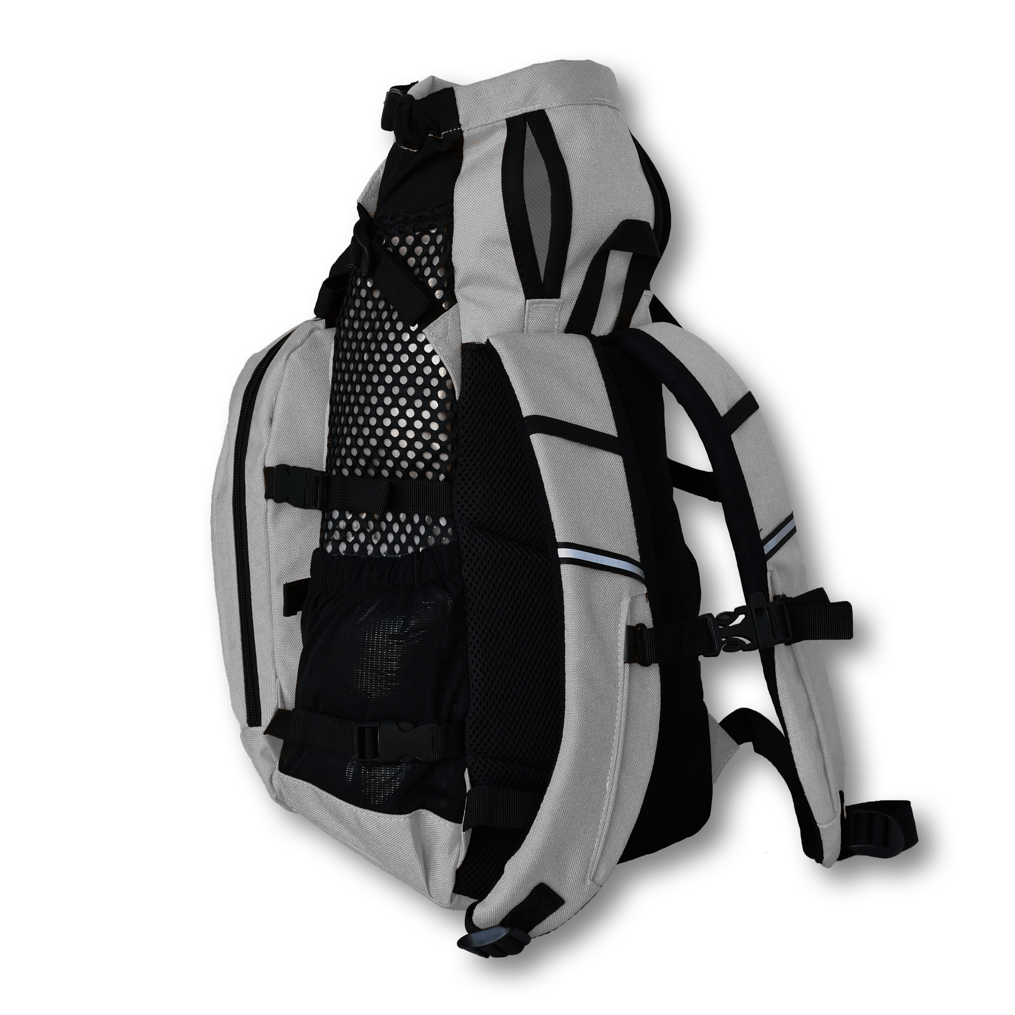 Plus 2 dog carrier gray angled Straps