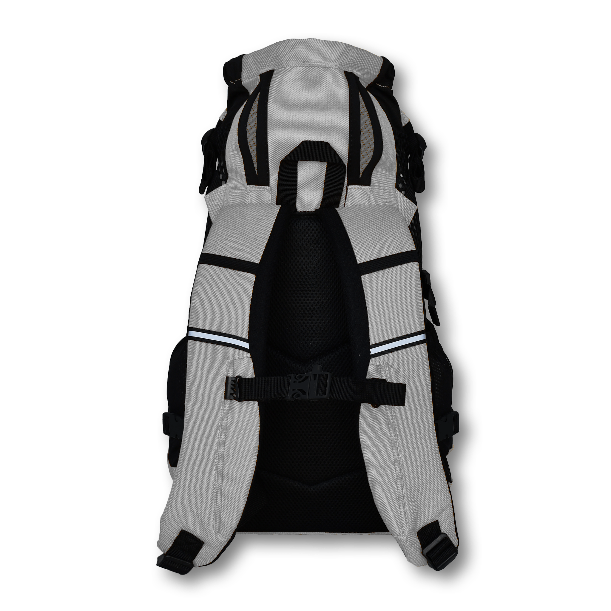 Plus 2 dog carrier gray Straps