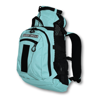 Plus 2 dog carrier mint angled shadow