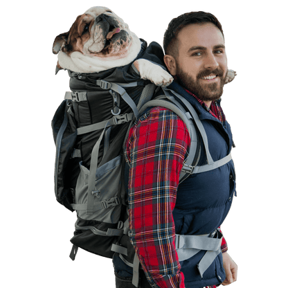 Klearance Rover 2  Black Backpack