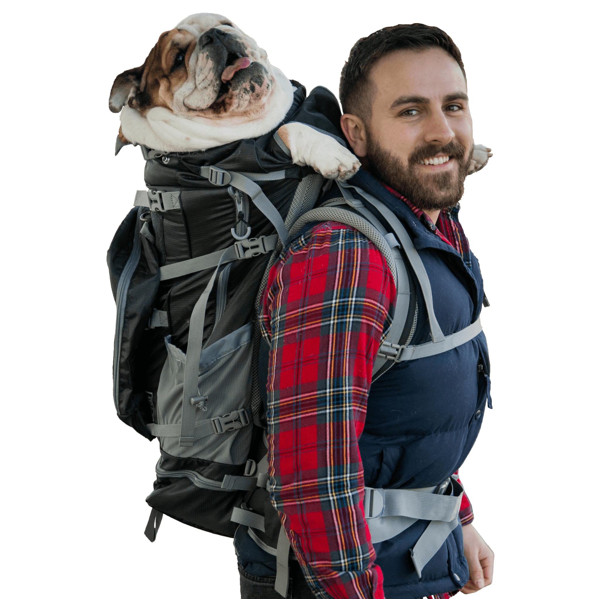 Big 2024 dog carrier