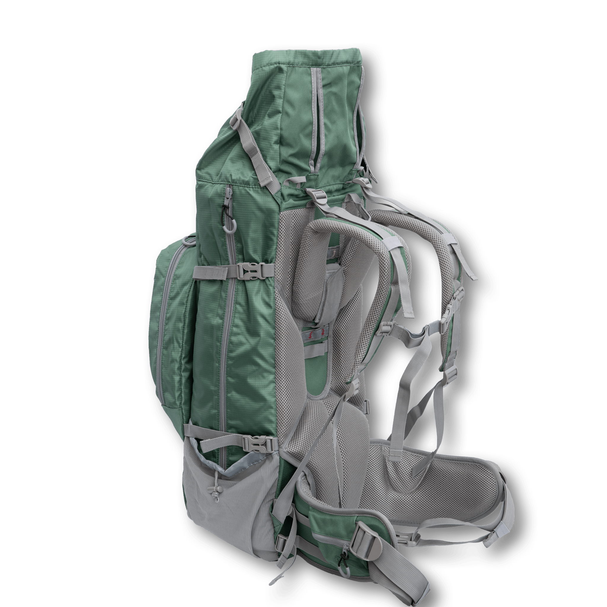 Kelty best sale dog backpack