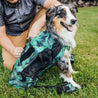 k9 air 2 dog carrier