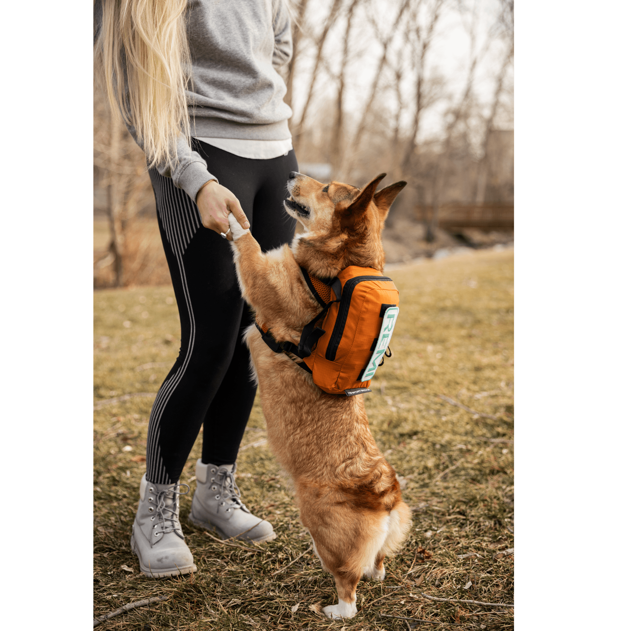 K9 Sport Sack Walk-On with Harness & Storage - X-Small Yellow