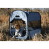 dog resting in pop up kennel