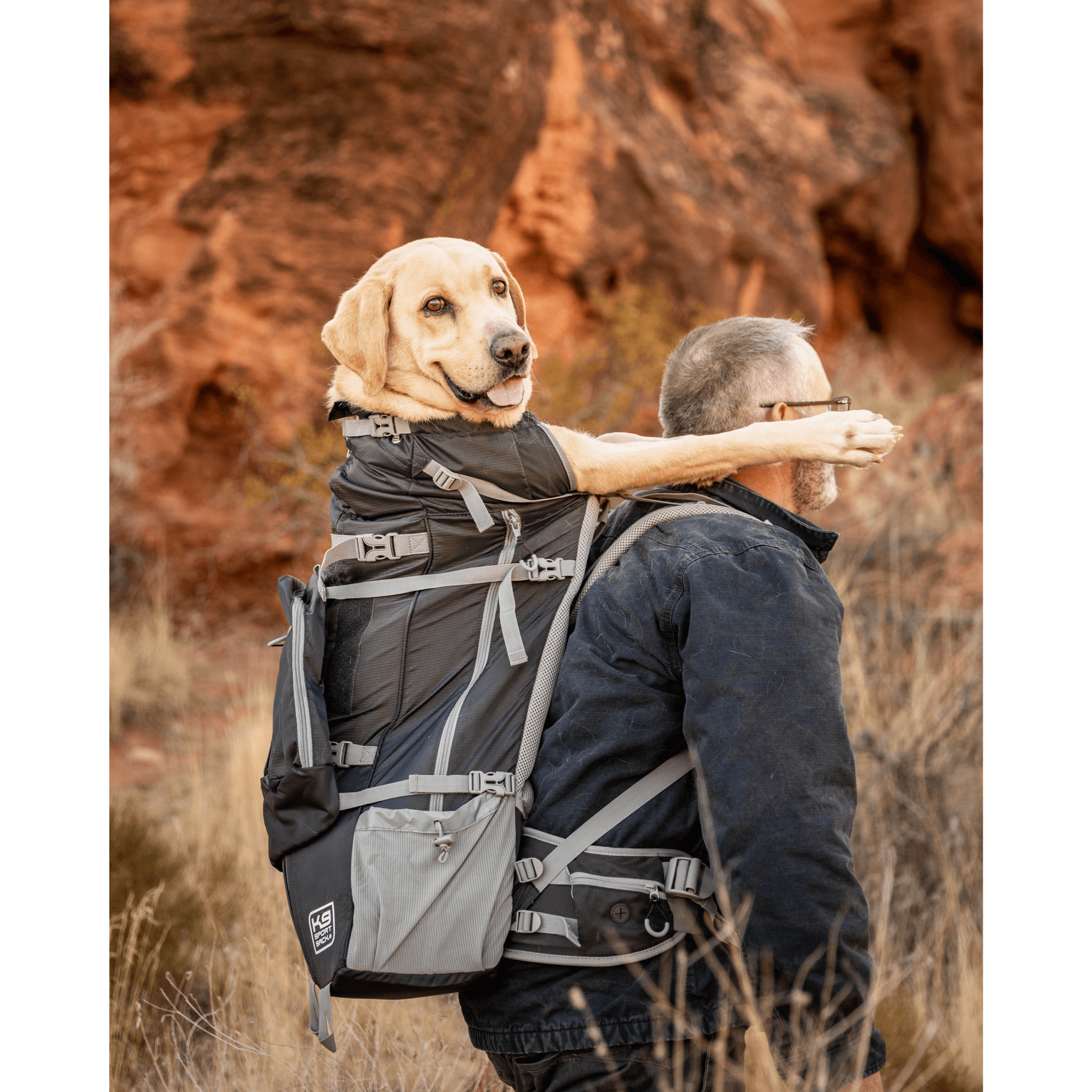 K9 Sport Sack KOLOSSUS Dog Carrier Backpack for Large Pets – Store For The  Dogs