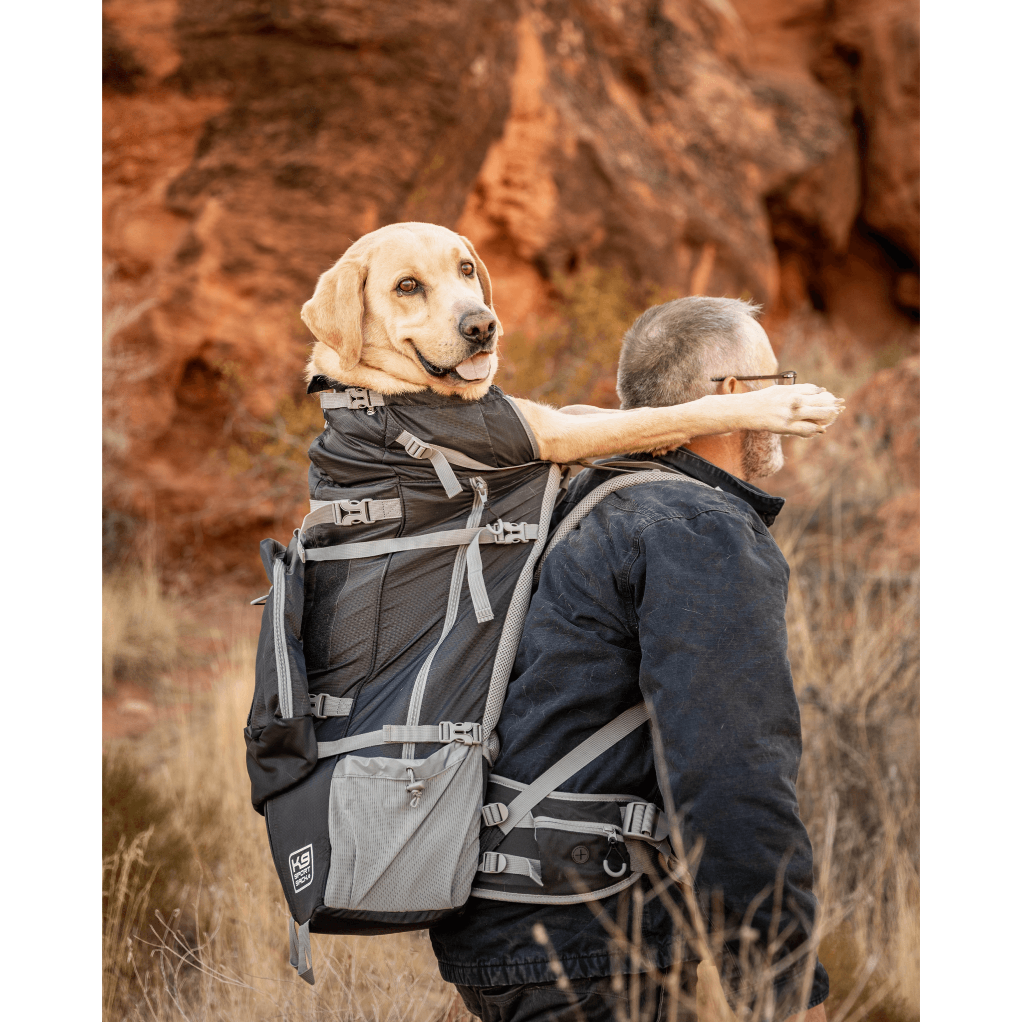 Dog online back carrier