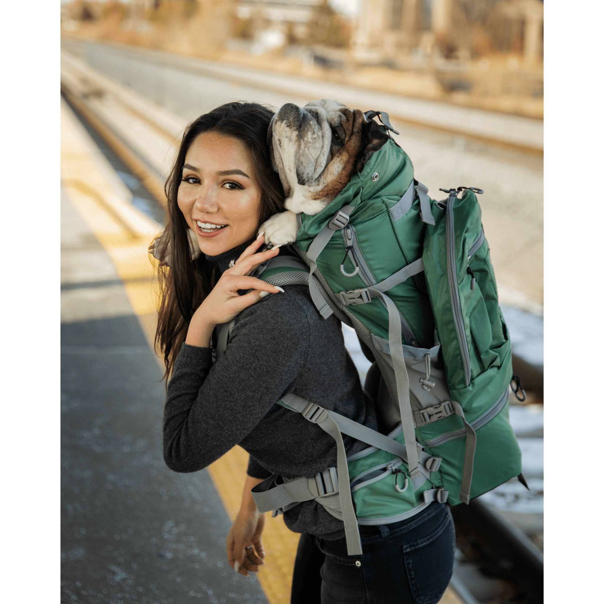 Large Dog Carrier Backpack Big XL Dogs Kolossus K9 Sport Sack