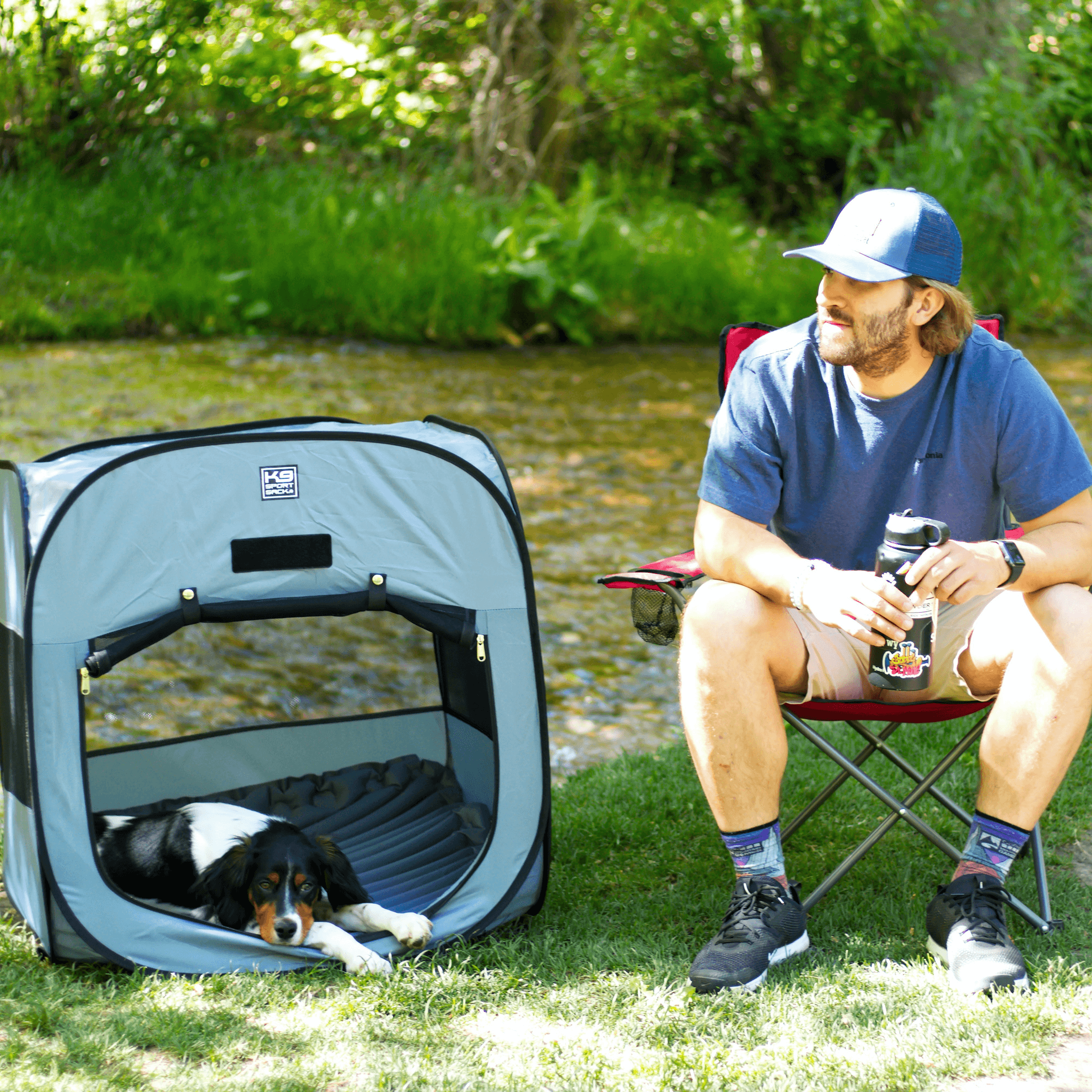 Dog Sleeper on Park