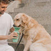 portable dog water bottle easy to drink out of
