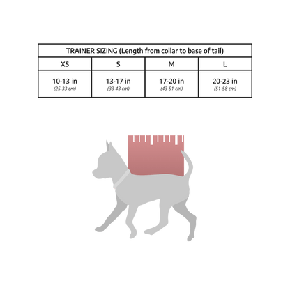 Klearance Trainer Sizing