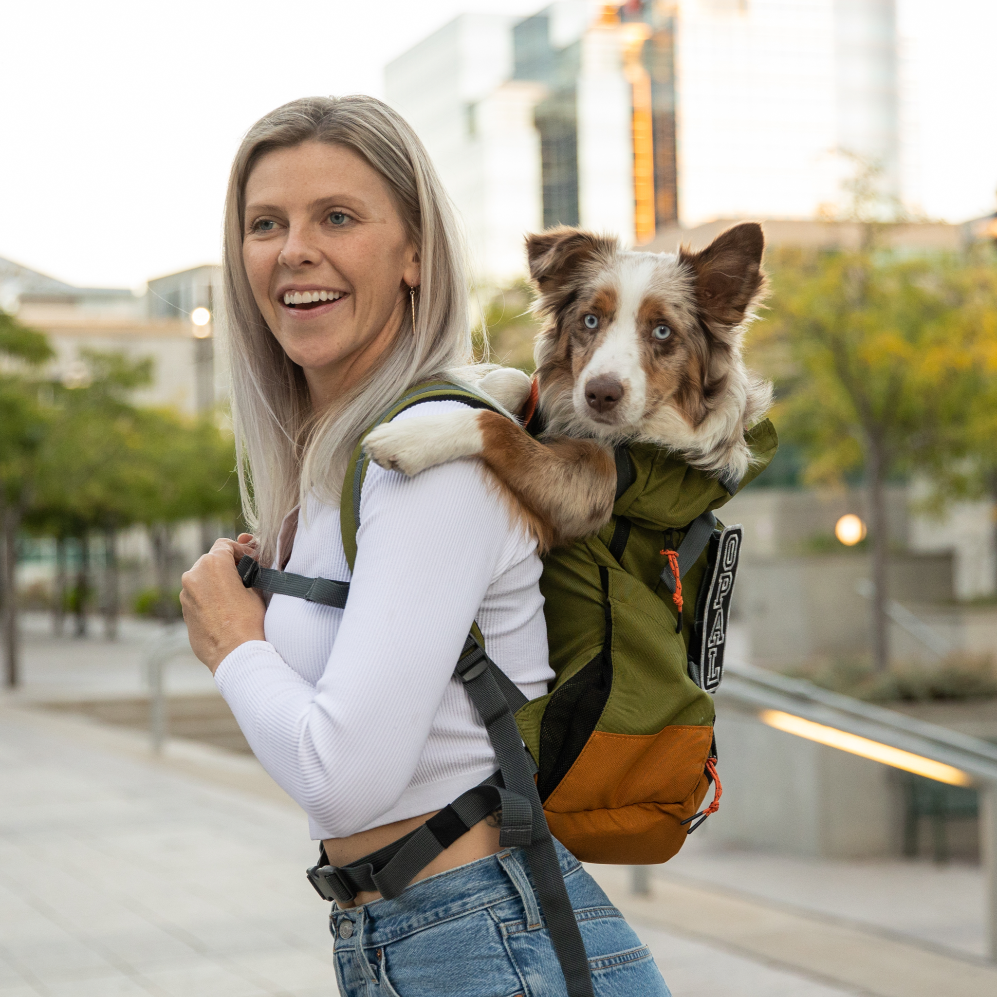 Corgi hiking backpack online