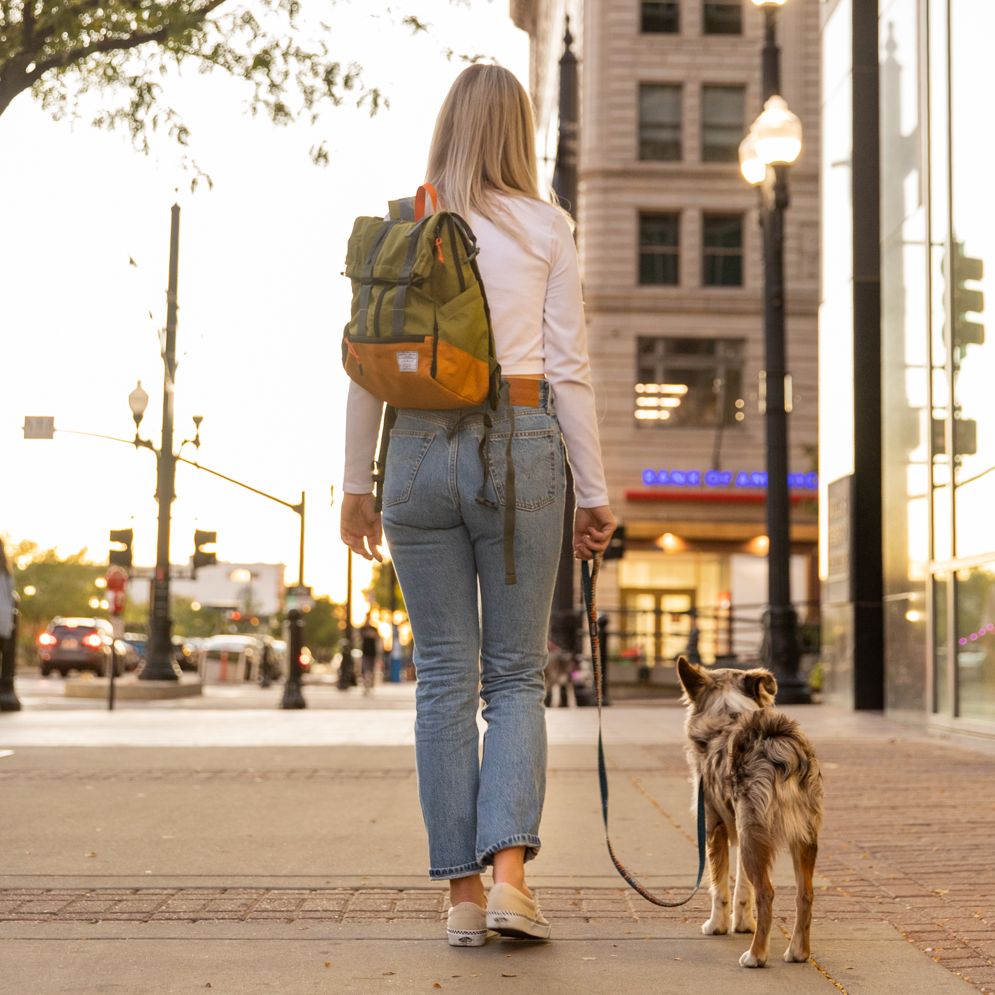 Urban 3 | Dual Use Dog Carrier & Traditional Backpack