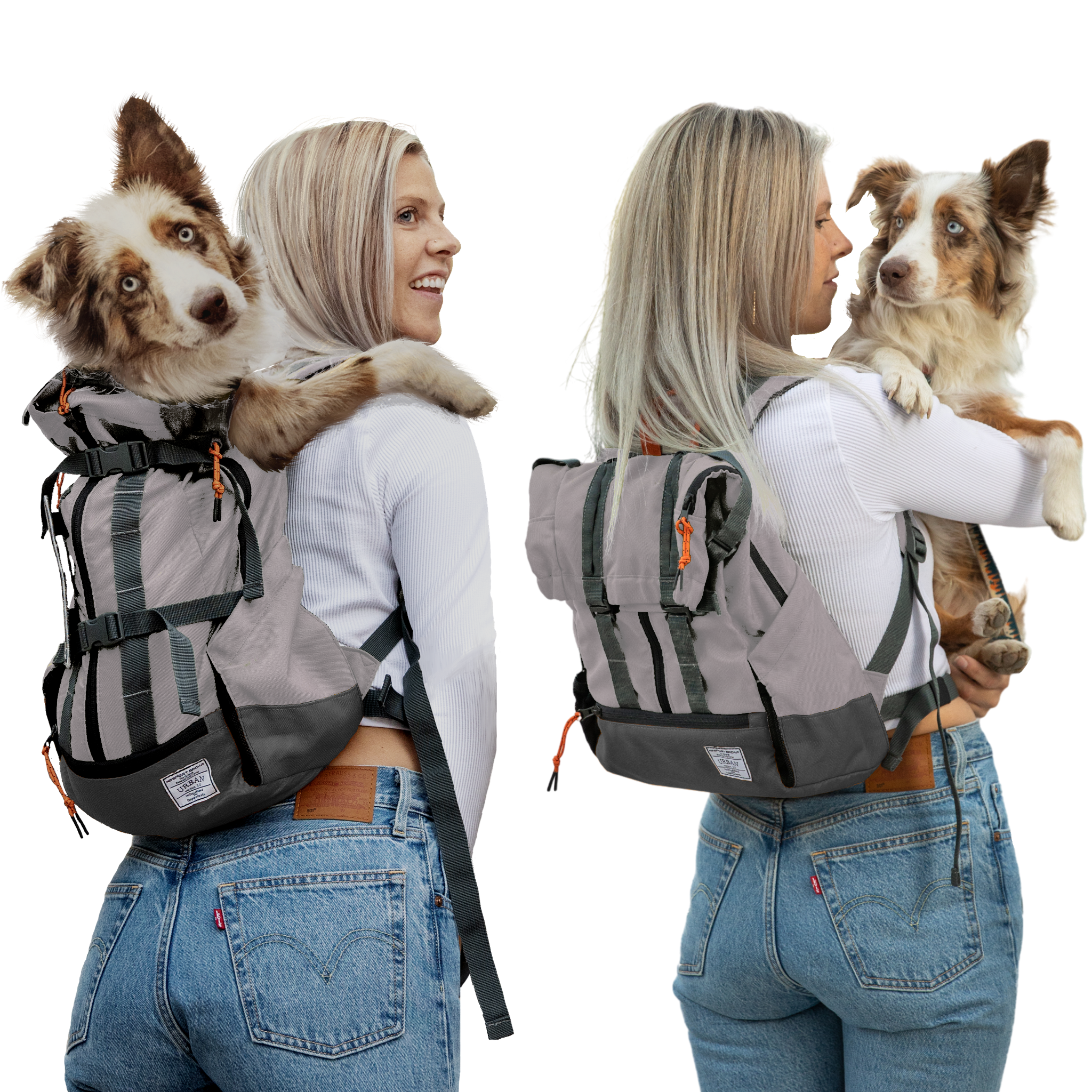 dog backpack carrier