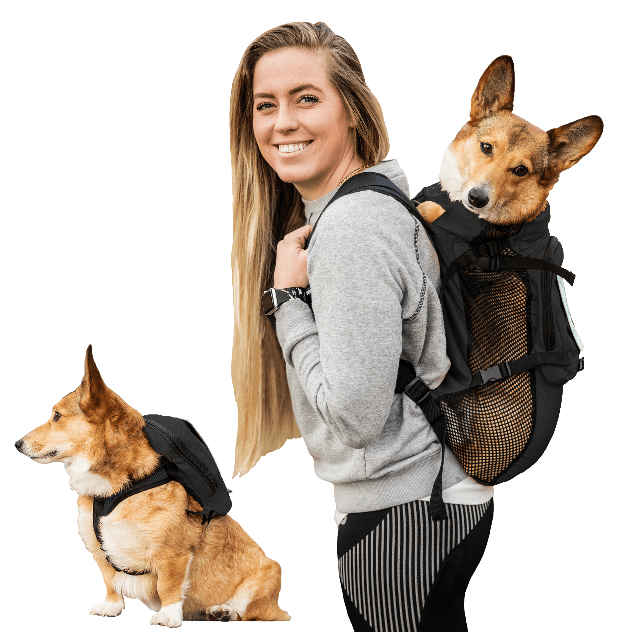 Dog harness with removable pack sale