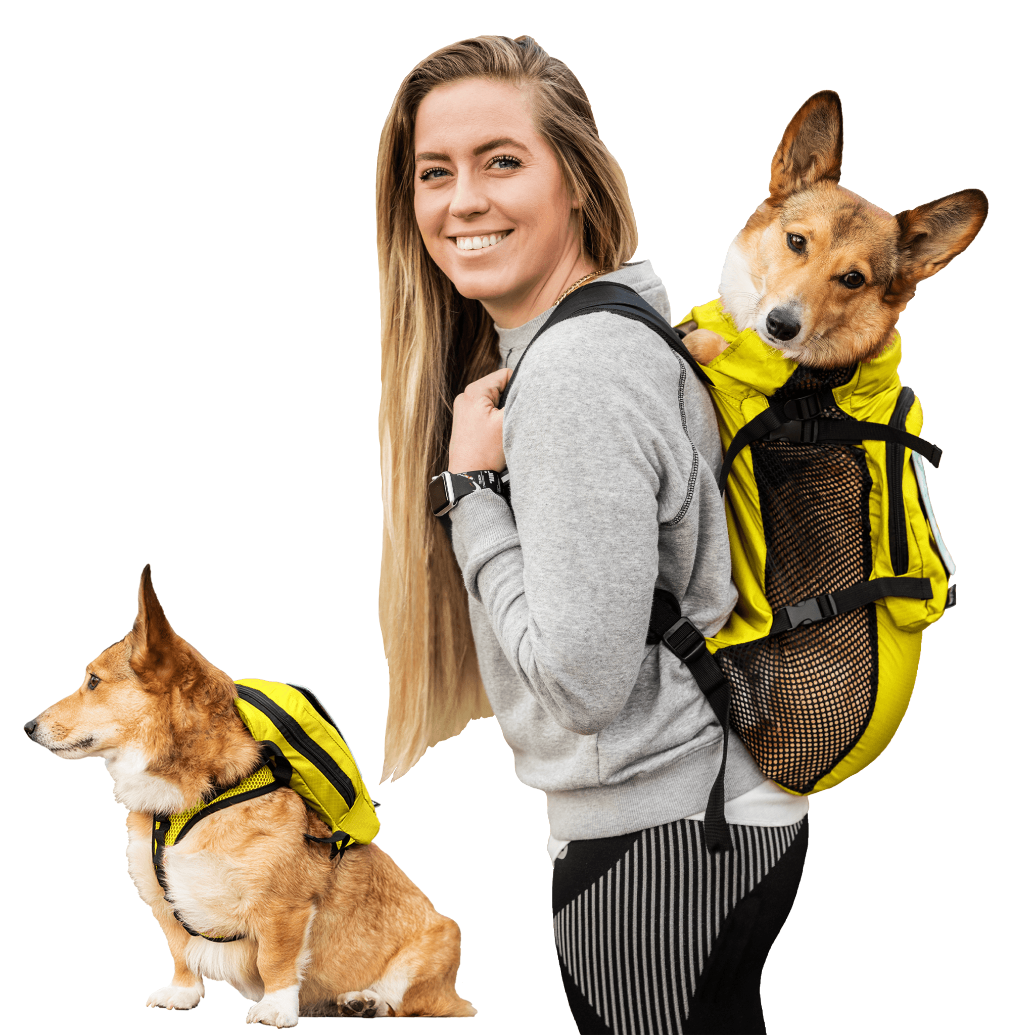 Walk on with harness storage 