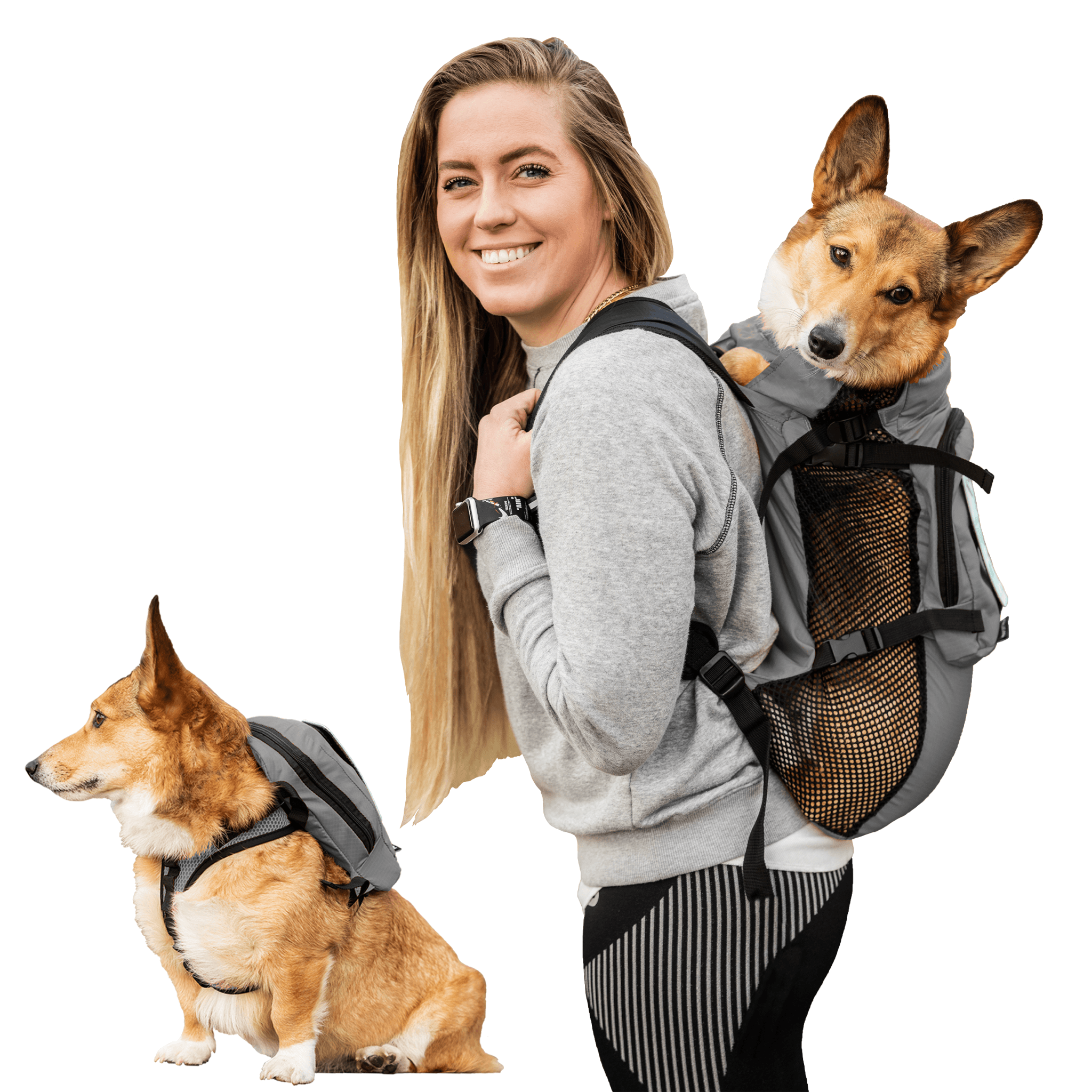 Dog harness to carry dog sale